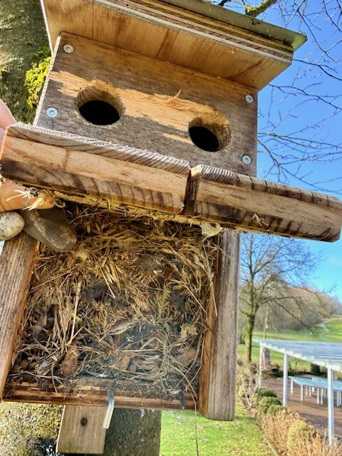 Nistkästen1