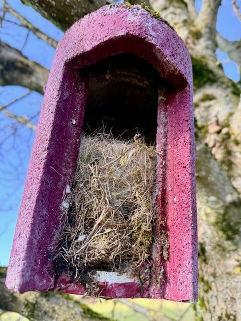 Nistkästen4